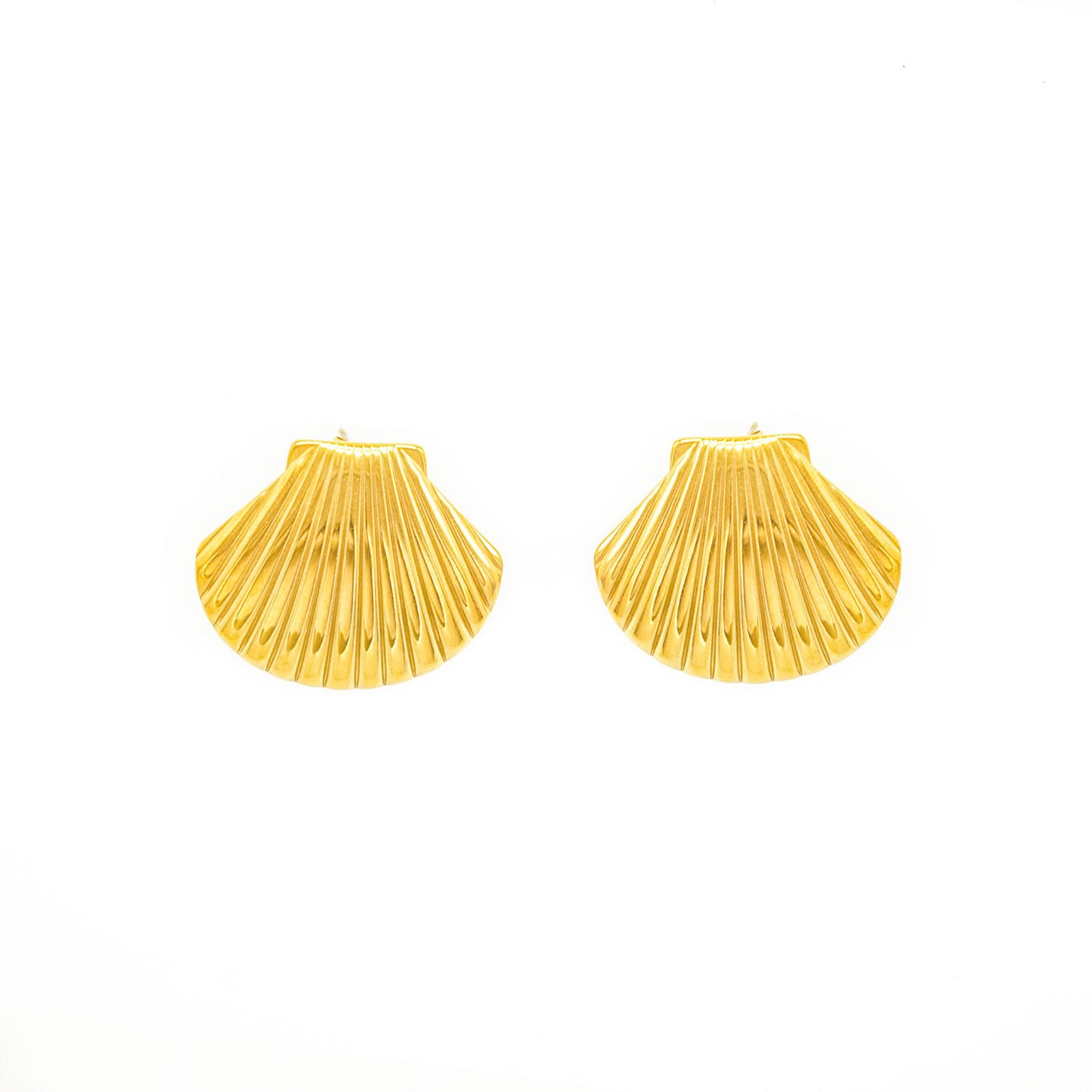 Shell Gold Earrings