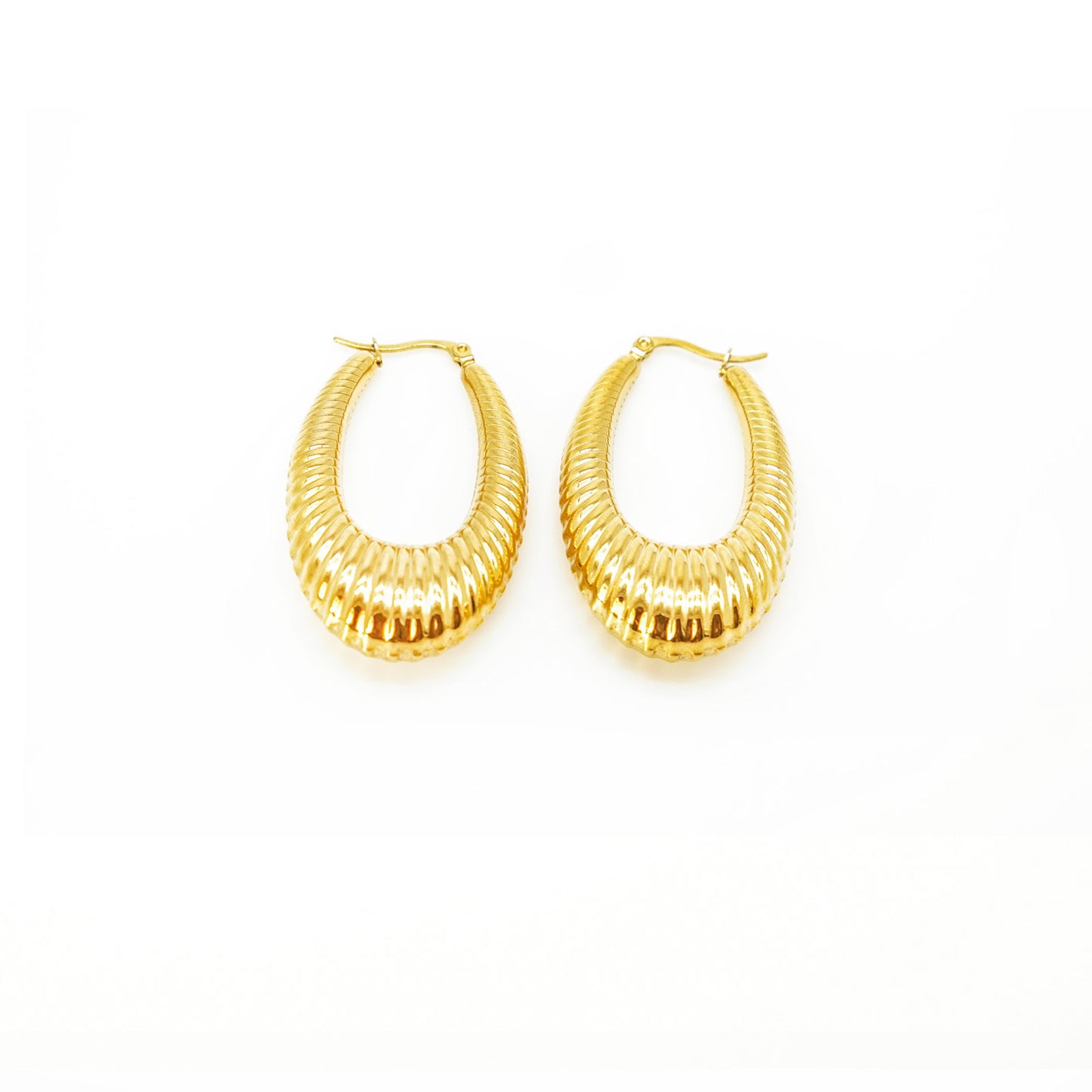 Sea Shell Hoop Gold Earrings