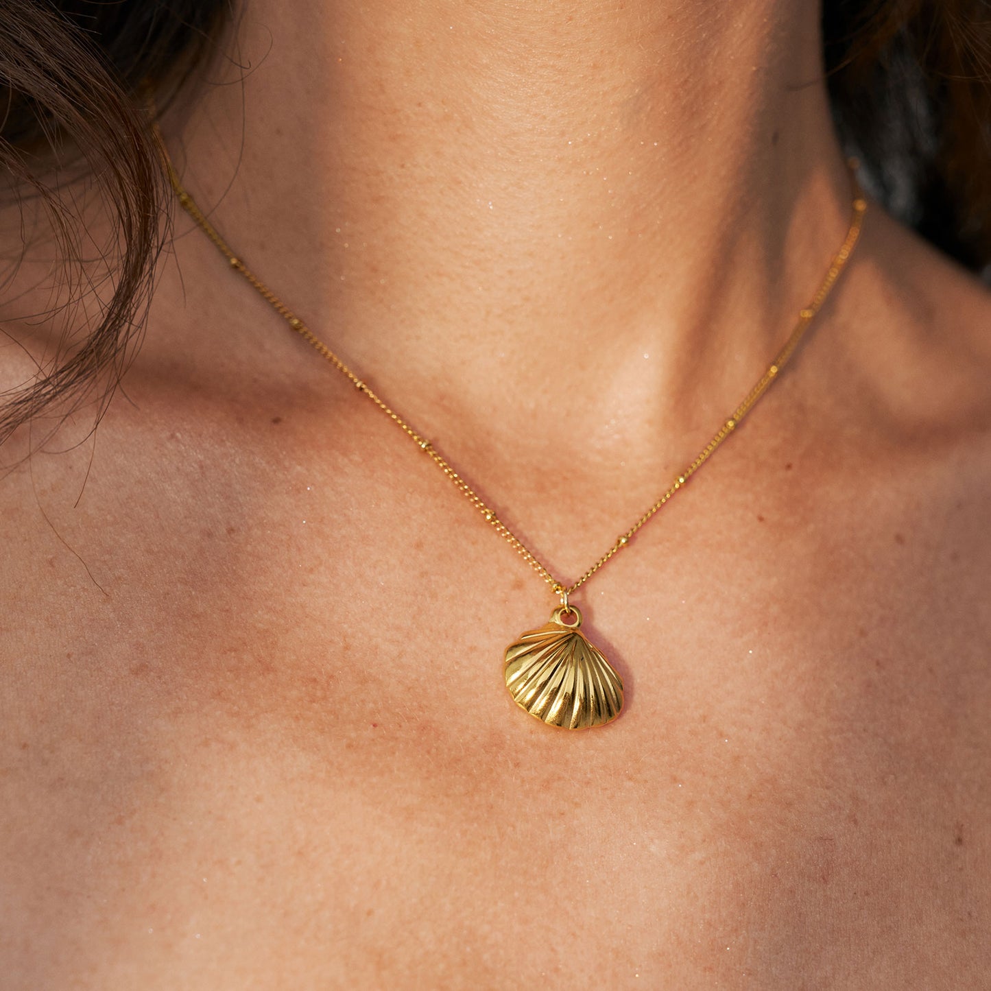 Seashell Pendant Gold Necklace