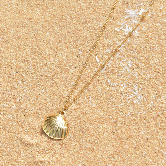 Seashell Pendant Gold Necklace