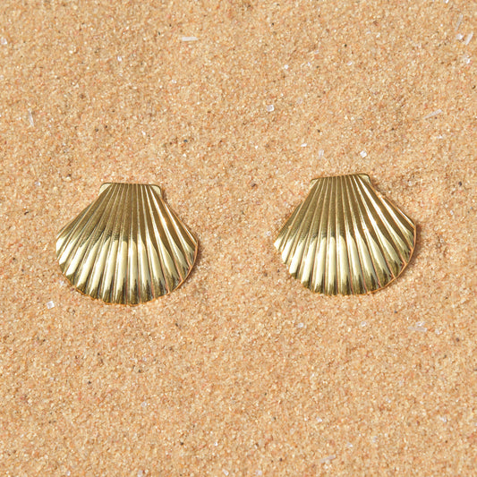 Shell Gold Earrings