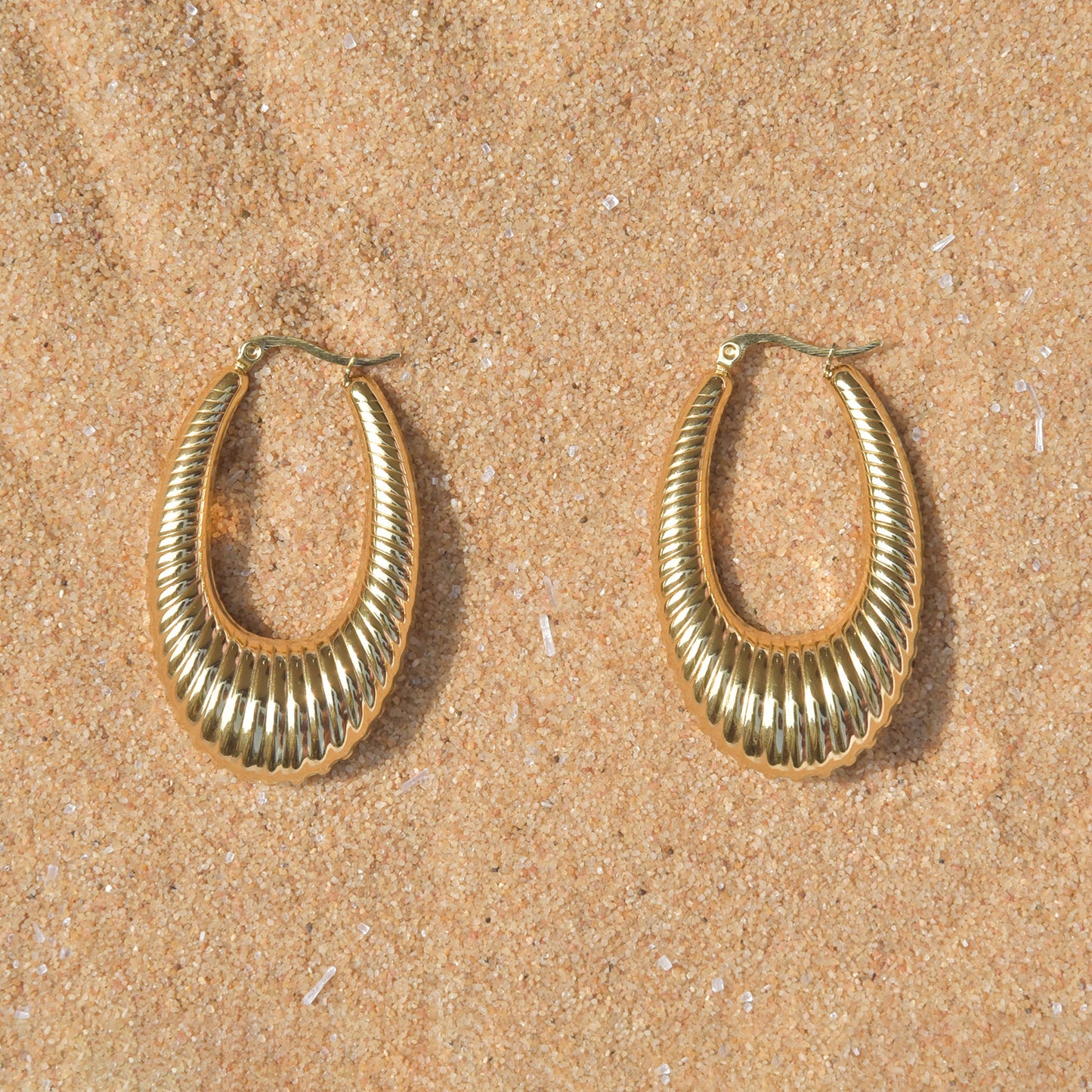 Sea Shell Hoop Gold Earrings